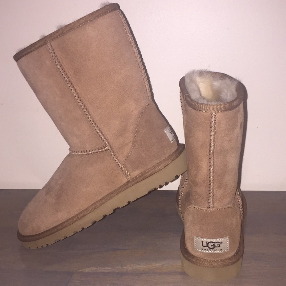 Classic Short Ugg Boots- chestnut